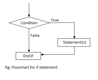 Conditional Statements