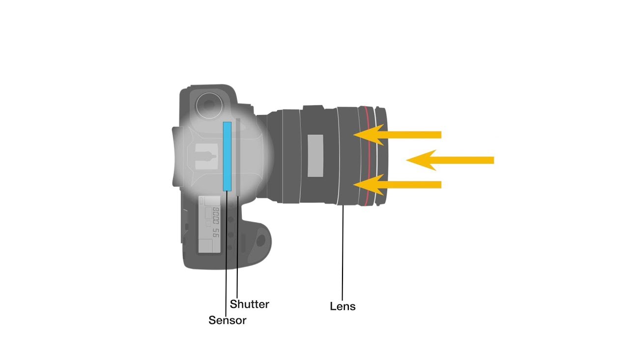 How Cameras Work: A Journey Through Light and Time